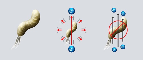 como funciona la electroporación