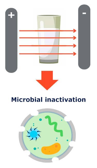 Microbial inactivation Electro pasteurization dairy 