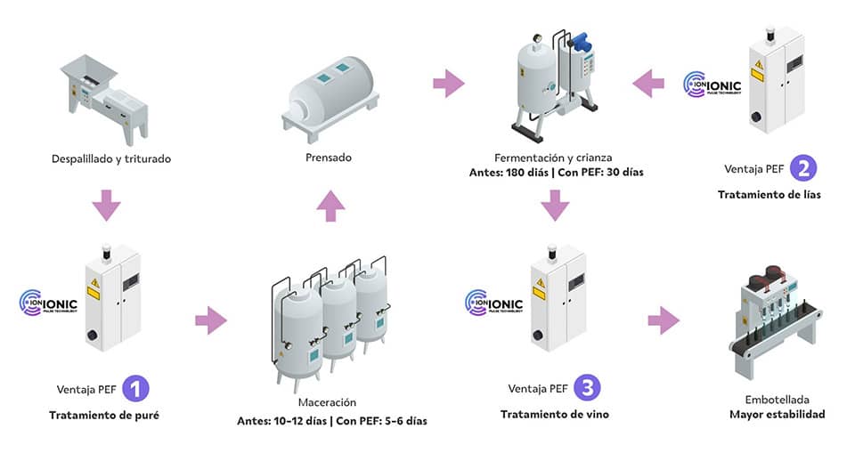proceso ionic pef vino electroporación
