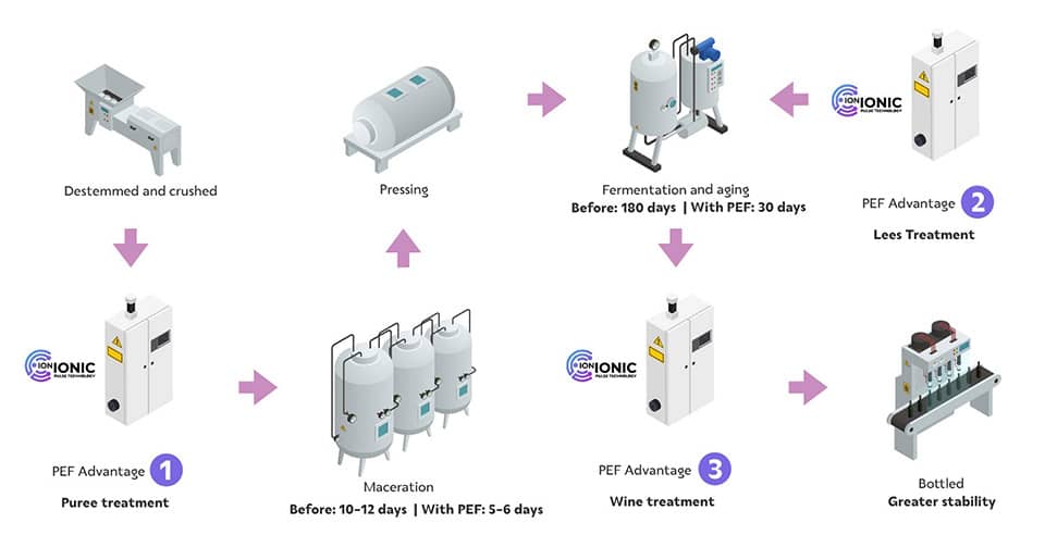 process ionic pef wine electroporation